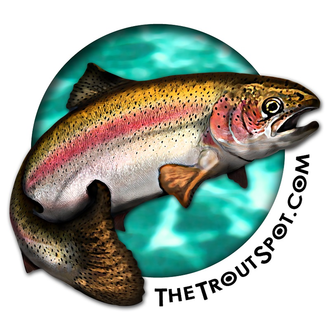 The Trout Spot - Everything for your fly fishing needs