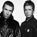 Oasis
